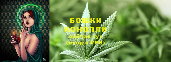 эйфоретик Кинешма