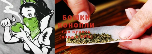 ПСИЛОЦИБИНОВЫЕ ГРИБЫ Киренск