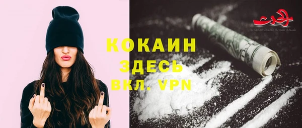 твердый Кодинск