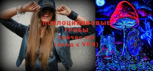 индика Карталы