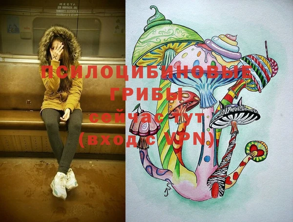 МДПВ Киреевск