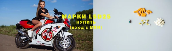 ПСИЛОЦИБИНОВЫЕ ГРИБЫ Киренск