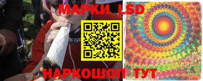 a pvp Гатчина