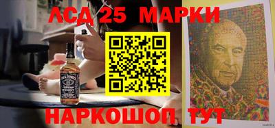 a pvp Гатчина