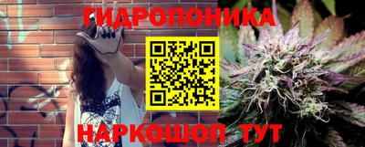 a pvp Гатчина