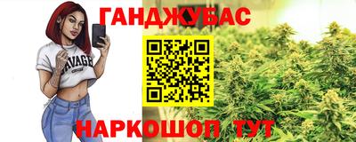 a pvp Гатчина
