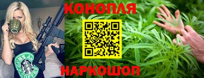 a pvp Гатчина